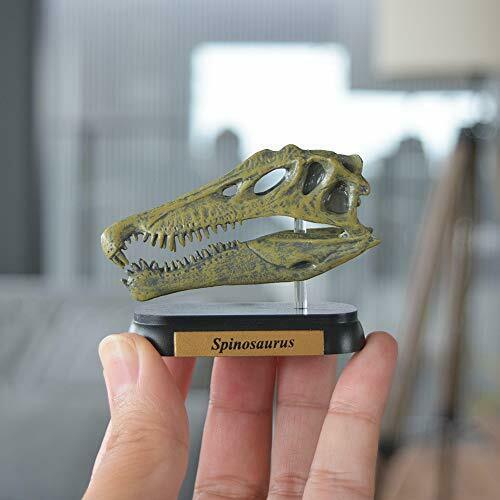 Préféré Spinosaurus Skull Dinosaur Mini Model Figure Conçu par H.tokugawa