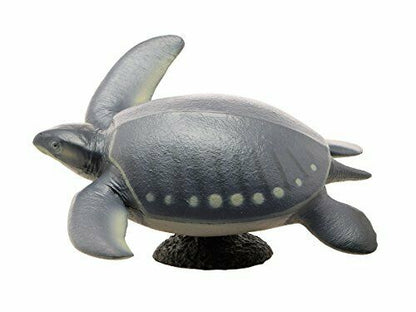 Febaritto 77619 Archelon Software Model Fp-005- Japan Figure Store - #1 Bring To You The Best Japanese Goods