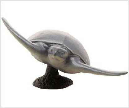 Febaritto 77619 Archelon Software Model Fp-005- Japan Figure Store - #1 Bring To You The Best Japanese Goods