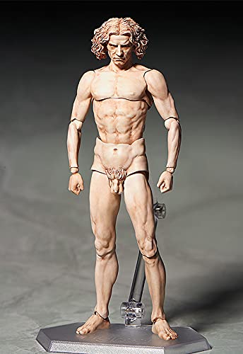 Figma Table Museum Vitruvian Human Figure Non-Scale ABS Pvc Painted Movable Figure Secondary Resale