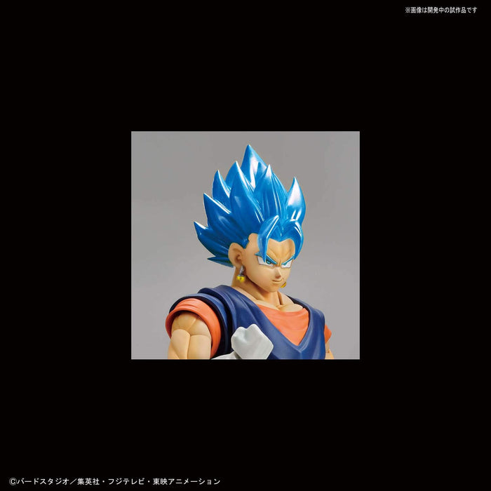 Bandai Figure-Rise Standard Dragon Ball Dragon Ball Z : Figurine Japonaise Super Saiyan Vegetto