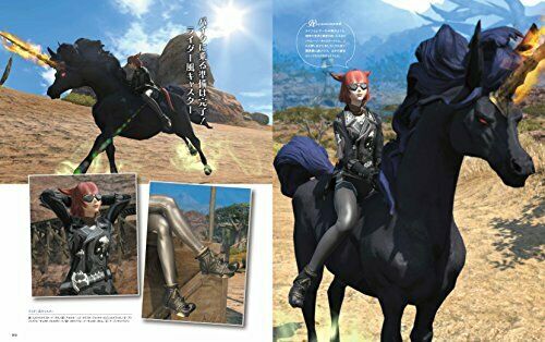 Final Fantasy Xiv Eorzea Collection 2016-2017 Kunstbuch