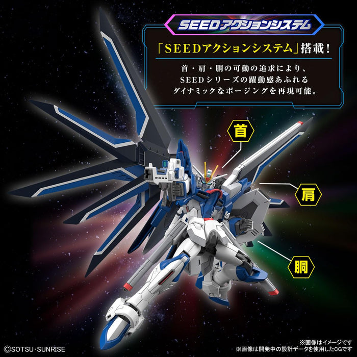 Bandai Spirits 1/144 Scale Freedom Gundam HG Mobile Suit Gundam Seed Color-Coded Model