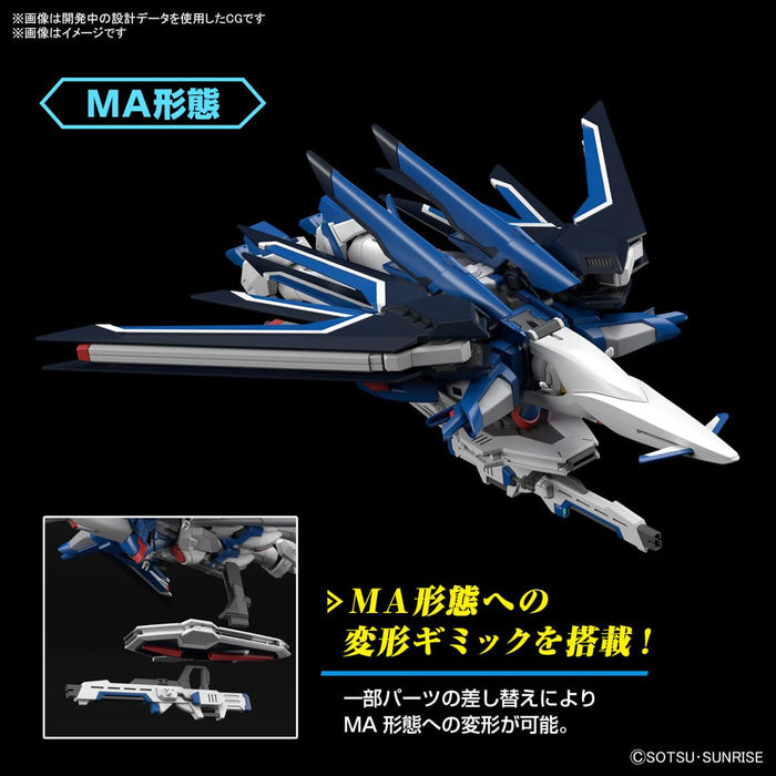 Bandai Spirits 1/144 Scale Freedom Gundam HG Mobile Suit Gundam Seed Color-Coded Model