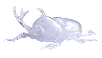 Fujimi Model Free Study Series No.21 Ex-1 Living Things Beetle (Clear) Free Study-21 Ex-1- Japan Figure Store - #1 Bring To You The Best Japanese Goods