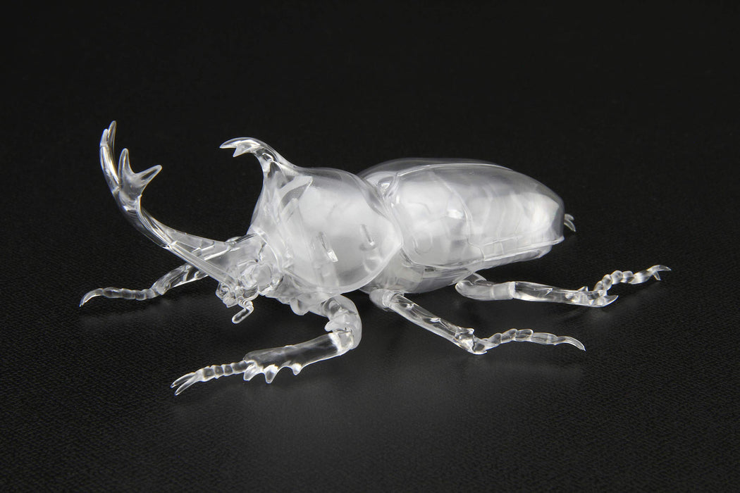 Fujimi Model Free Study Series No.21 Ex-1 Living Things Beetle (Clear) Free Study-21 Ex-1