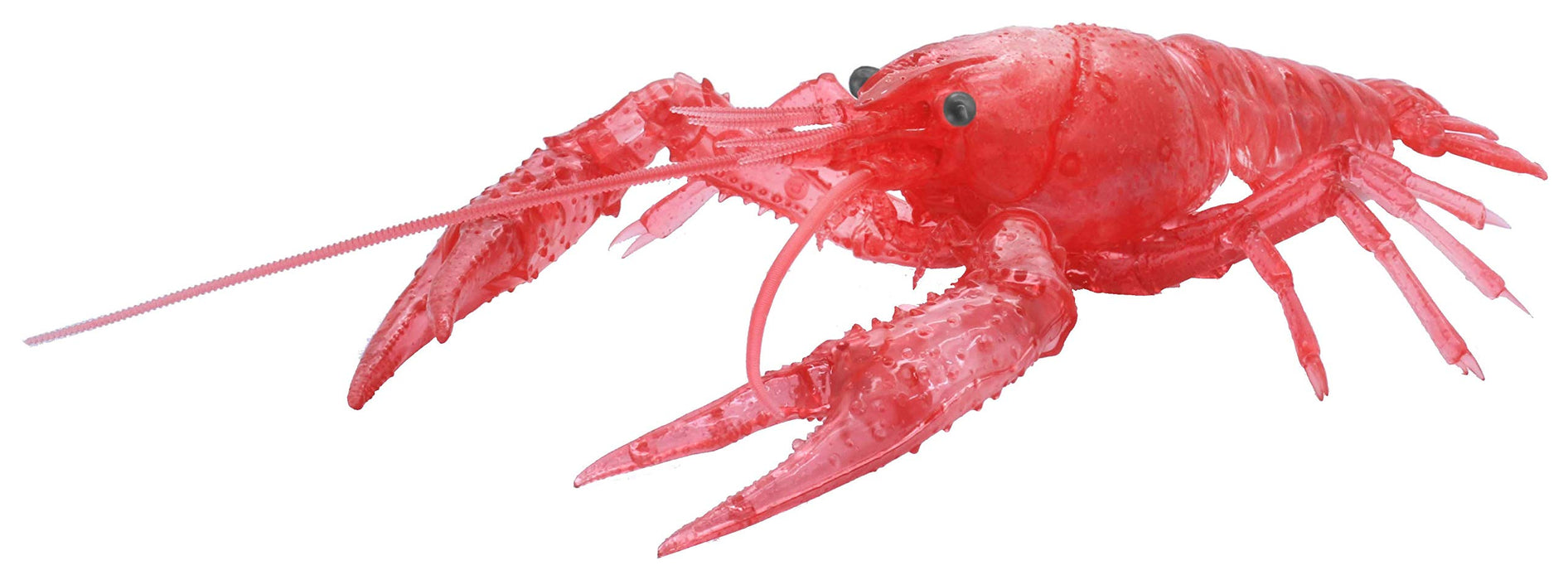 FUJIMI Research Series Procambarus Clarkii / Louisiana Crawfish Special Version Clear Red Plastic Model