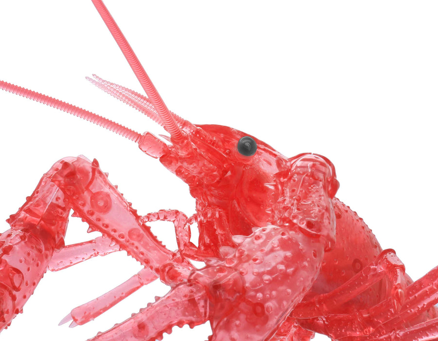FUJIMI Research Series Procambarus Clarkii/Louisiana Crawfish Version spéciale Modèle en plastique rouge transparent