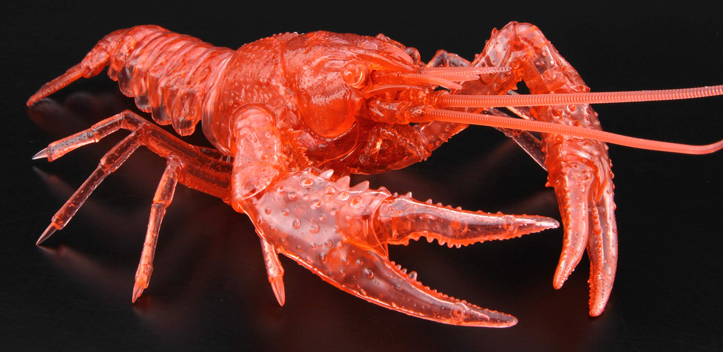 FUJIMI Research Series Procambarus Clarkii / Louisiana Crawfish Special Version Clear Red Plastic Model