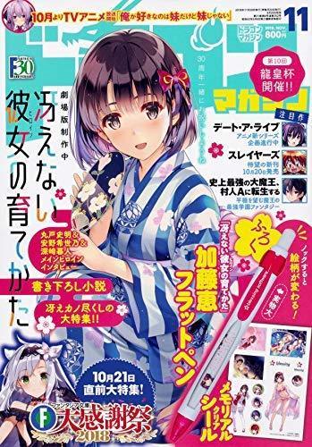Fujimi Shobo Dragon Magazine 2018 November W/bonus Item - Japan Figure