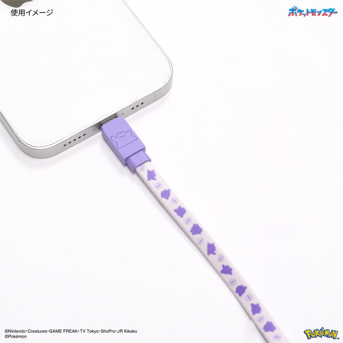 Gourmandise Pokemon Poke-823B Sync & Charging Cable