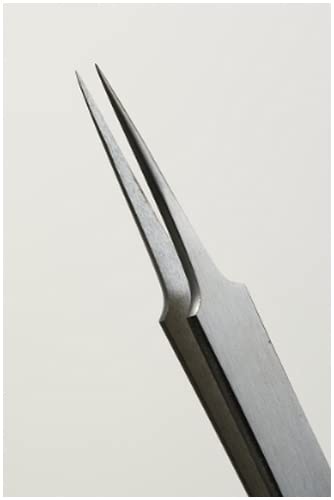 GSI Creos Mr. Basic Tweezers