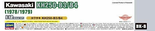 Hasegawa 1/12 Scale Motor Cycle Kawasaki Kh250-b3 / B5 Plastic Model Kit