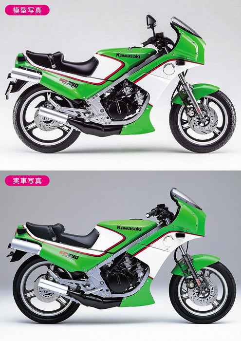 Hasegawa 1/12 Bike Series Kawasaki Kr250 (Kr250A) Plastikmodell Bk12