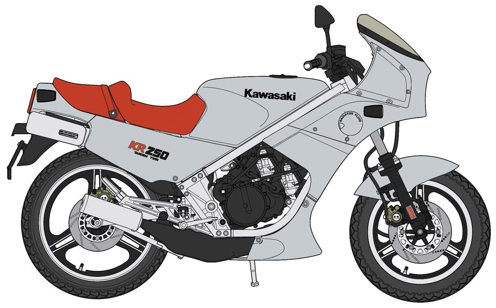 HASEGAWA 1/12 Kawasaki Kr250 Kr250A Silver Plastic Model
