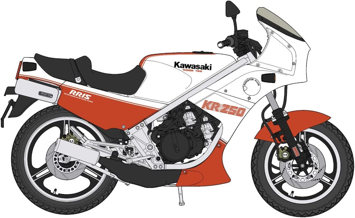 HASEGAWA 1/12 Kawasaki Kr250 Kr250A White/Red Color Plastic Model
