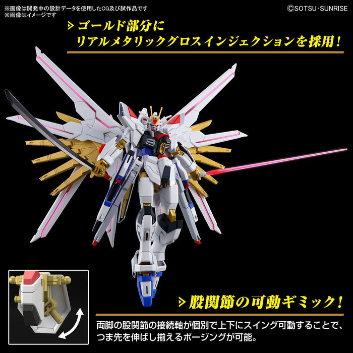 Bandai Spirits 1/144 Scale Freedom Gundam Mobile Suit Gundam Seed HG Model Kit