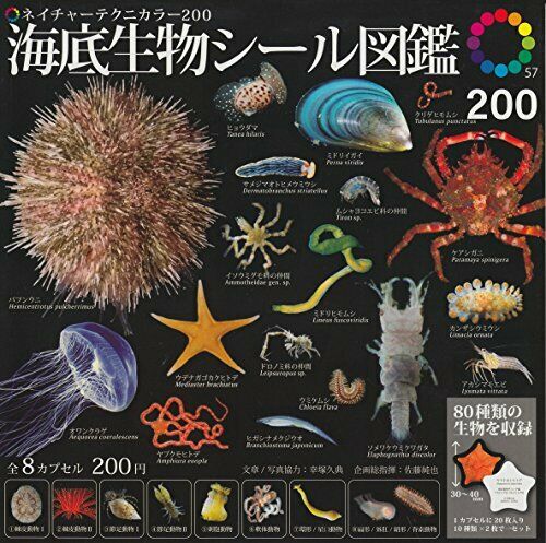 Ikimon Seabed Organisms Mascot Seal All 8 Set Gashapon Mascot Toys - Japan Figure