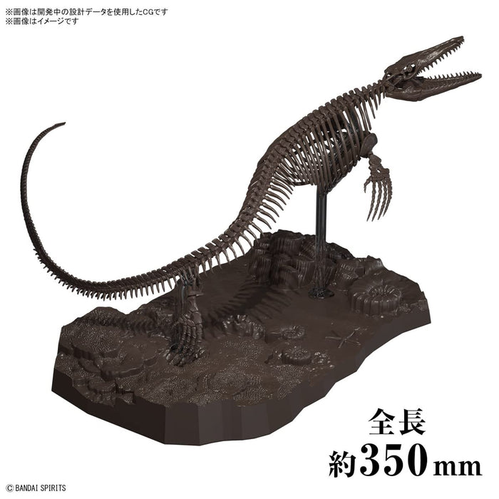 Bandai Spirits Japan 1/32 Mosasaurus-Skelett-Plastikmodell - Farbcodiert
