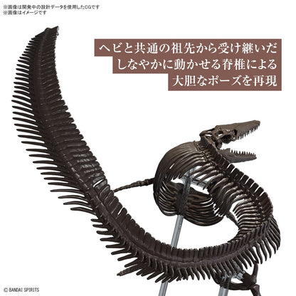 Bandai Spirits Japan 1/32 Mosasaurus Skeleton Plastic Model - Color Coded- Japan Figure Store - #1 Bring To You The Best Japanese Goods