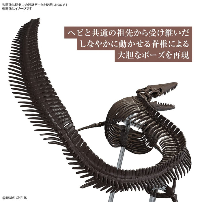 Bandai Spirits Japan Modèle en plastique squelette de Mosasaurus 1/32 – Code couleur