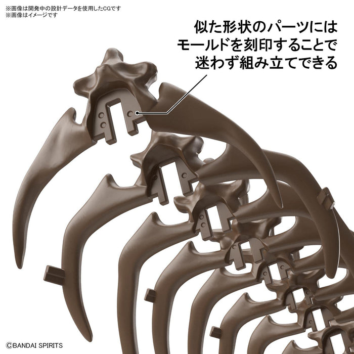 Bandai Spirits Japan 1/32 Scale Imaginary Skeleton Triceratops Plastic Model