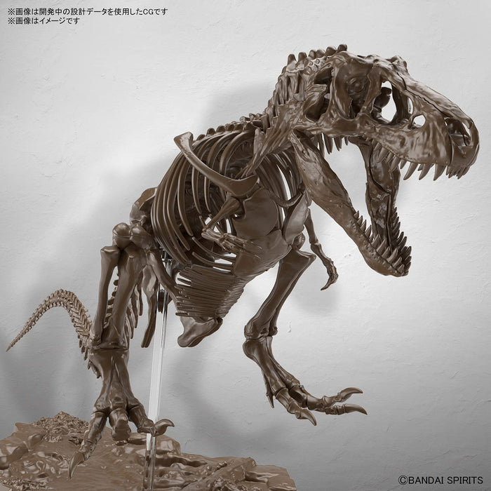 BANDAI Imaginary Skeleton 1/32 Tyrannosaure Plastique Modèle