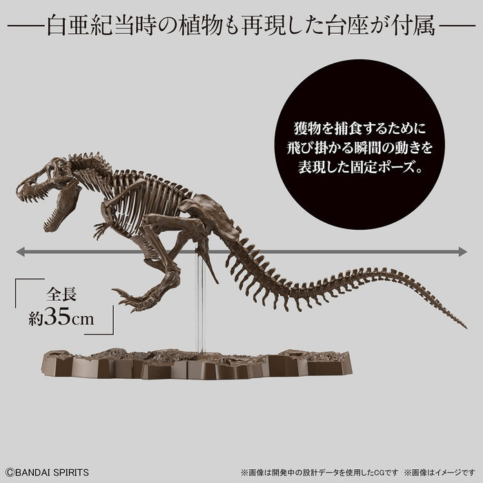 BANDAI Imaginary Skeleton 1/32 Tyrannosaure Plastique Modèle