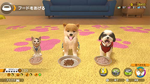Imagineer Little Friends Dogs & Cats Nintendo Switch New