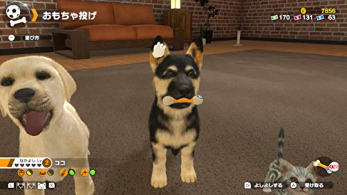 Imagineer Little Friends Dogs & Cats Nintendo Switch - New Japan Figure 4965857102047 3