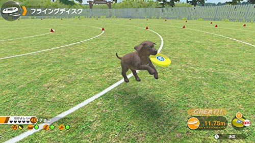 Imagineer Little Friends Dogs & Cats Nintendo Switch - New Japan Figure 4965857102047 5