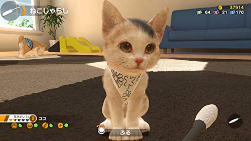 Little Friends: Dogs & Cats [Nintendo Switch] • World of Games