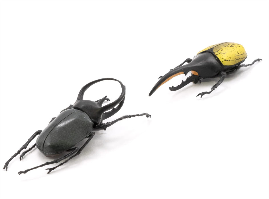 F-TOYS Incects Hunter Rhinoceros Beetle X Stag Beetle 10er Box Candy Toy