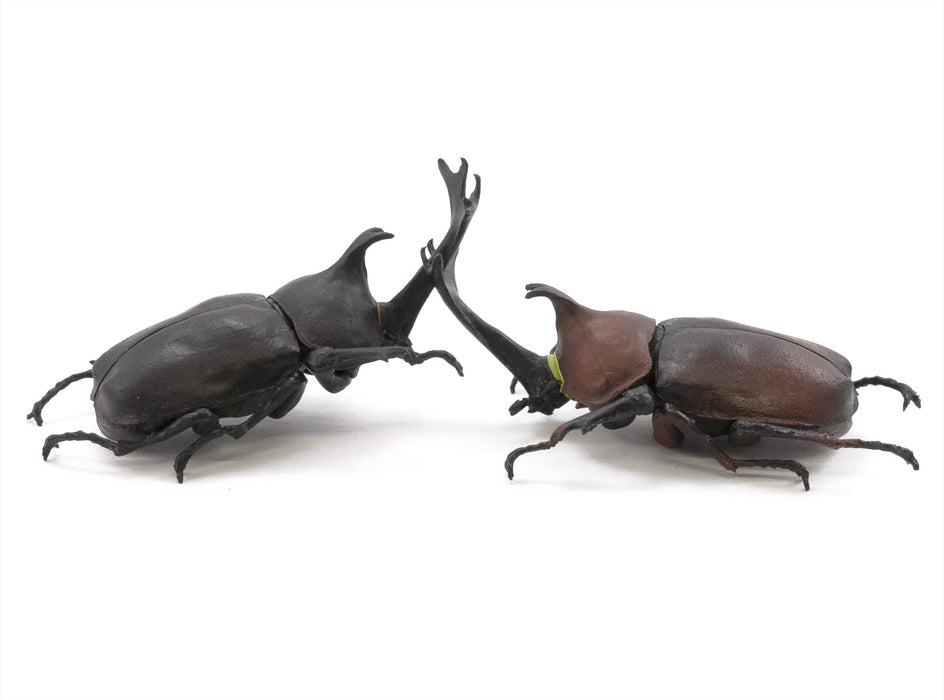 F-TOYS - Incects Hunter Rhinoceros Beetle X Stag Beetle 10Pcs Box - Candy Toy
