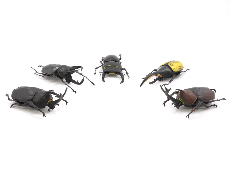 F-TOYS Incects Hunter Rhinoceros Beetle X Stag Beetle 10Pcs Box Candy Toy