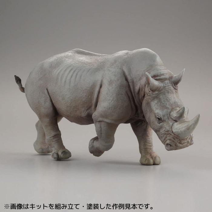Kaiyodo Art Plastic Art Pla Keeper White Rhinoceros Set Unpainted Unassembled Model Kit Japan Ap006
