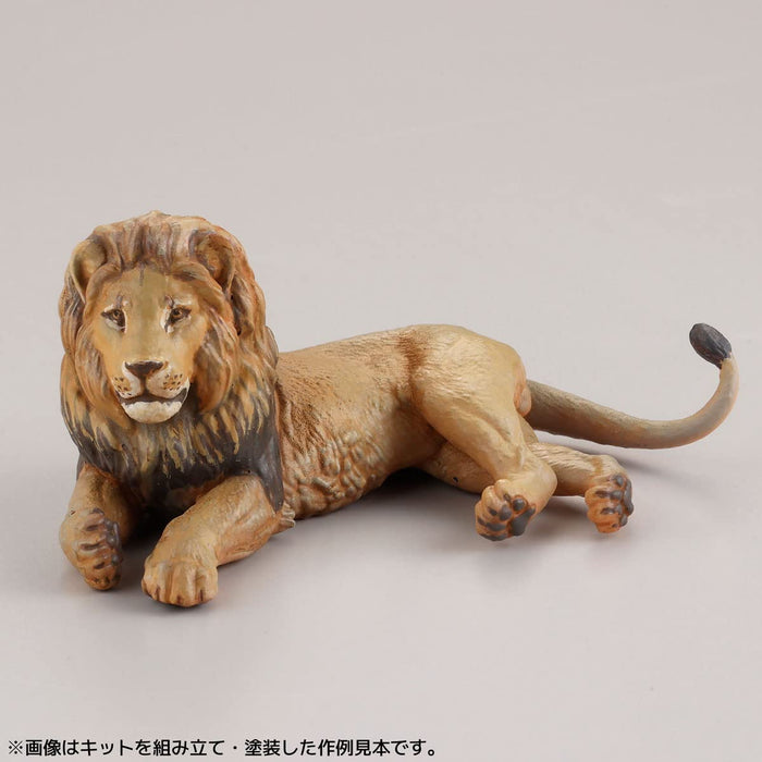 KAIYODO Artpla 1/35 Gardien Et Lion Set 1 Boite 6 Pcs
