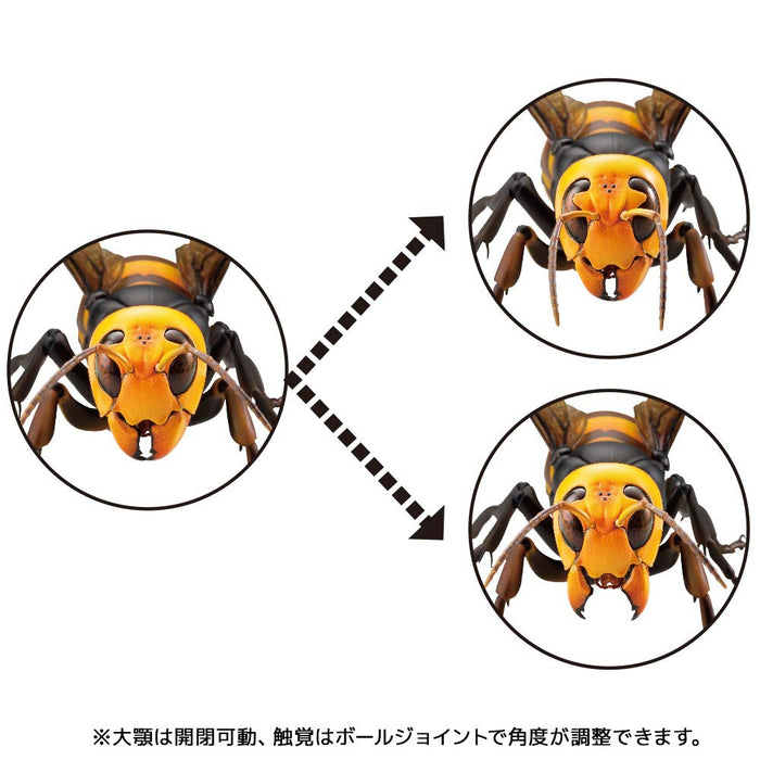 KAIYODO Revogeo Japanese Giant Hornet Figure