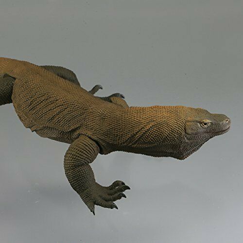 Kaiyodo Soft Vinyl Toy Box 005 Komodo Dragon Varanus Komodoensis Figur