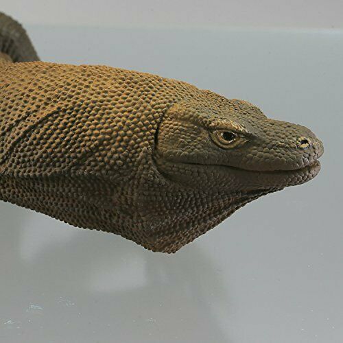 Kaiyodo Soft Vinyl Toy Box 005 Komodo Dragon Varanus Komodoensis Figure