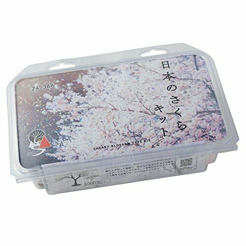Kato Japanese Cherry Cherry Blossom Tree Kit 12-teilig