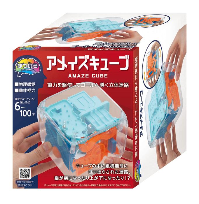 Hanayama Japan Katsunou Amaze Cube Puzzle