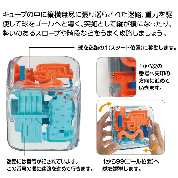 Hanayama Japan Katsunou Amaze Cube Puzzle