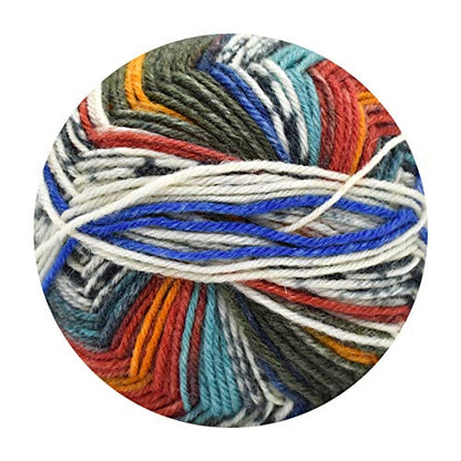 Opal Japan Hand Knitting Kit Wool Set For Belly Band Hat Kfs100 (Circus) & Kfs101 (Rendezvous) W/ Circular Needles- Japan Figure Store - #1 Bring To You The Best Japanese Goods