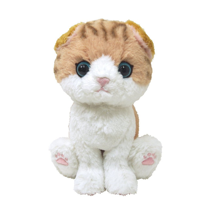 Plush Doll Kitten Scottish Fold Brown Size S