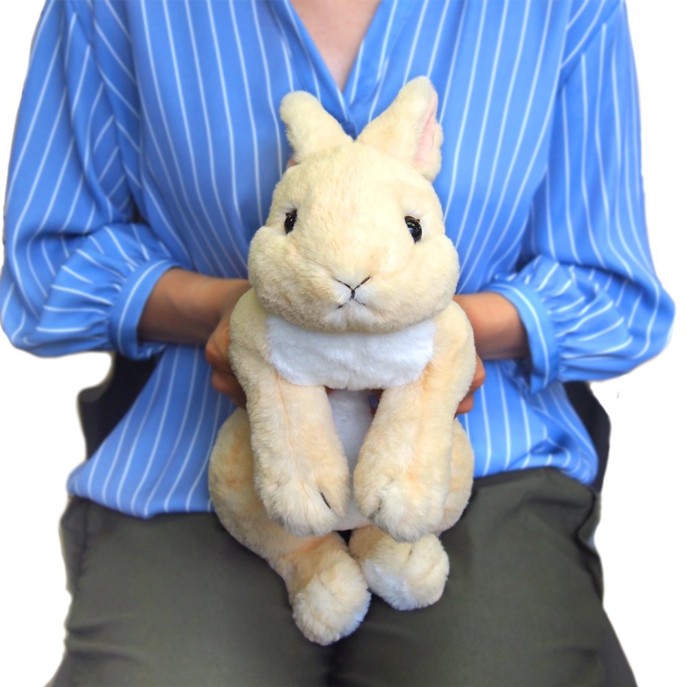 SUNLEMON Plush Doll Hiza Usagi Rabbit Beige Size M Tjn- Japan Figure Store - #1 Bring To You The Best Japanese Goods