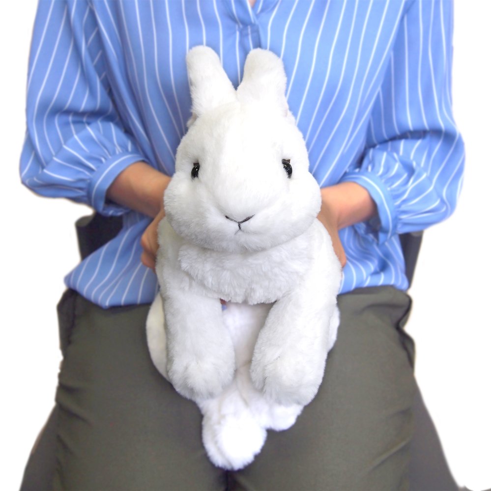 Sun Lemon Plush Doll Hiza Usugi White Bunny Buy Japanese Animal Stuffed Toy- Japan Figure Store - #1 Bring To You The Best Japanese Goods