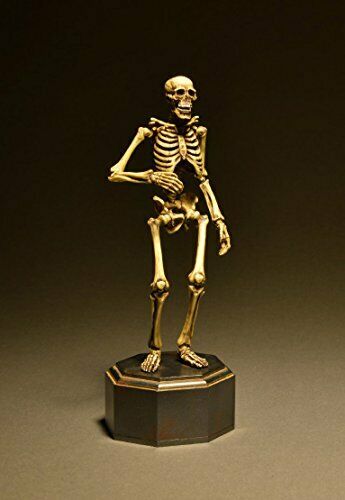 Kt Project Kt-006 Takeya Freely Figure Skeleton Color Edition