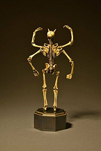 Kt Project Kt-006 Takeya Freely Figure Skeleton Color Edition