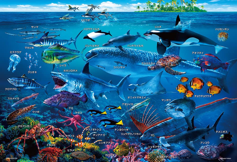 BEVERLY 100-029 Jigsaw Puzzle Let'S Learn The Sea Animals In Japanese 100 L-Pieces
